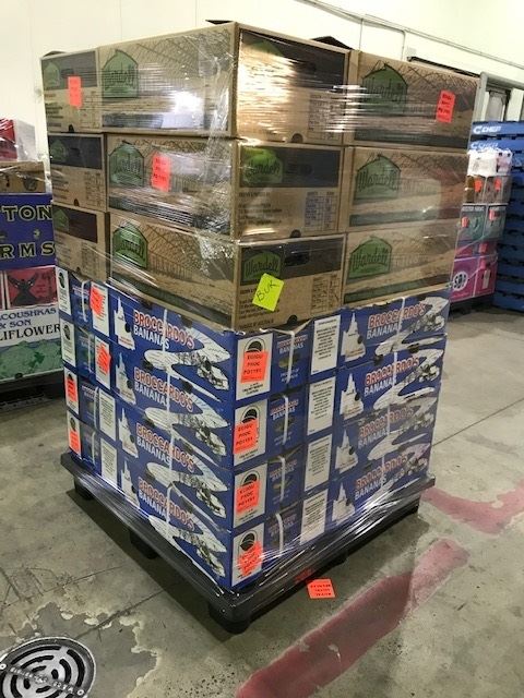 export use plastic pallet
