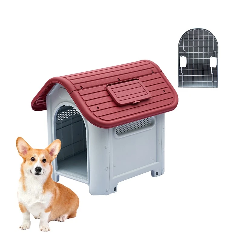 product-800-800