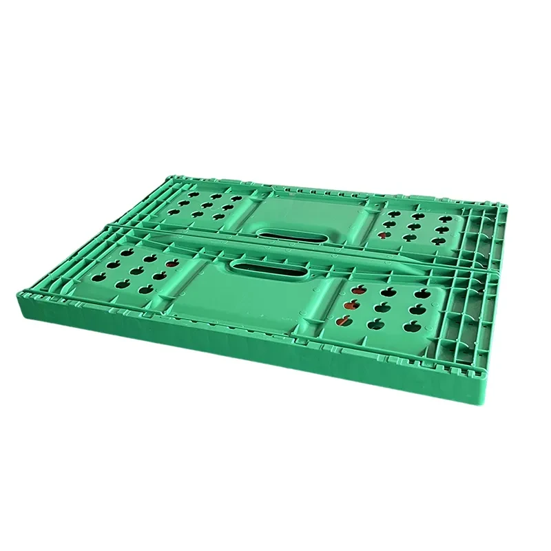 product-800-800