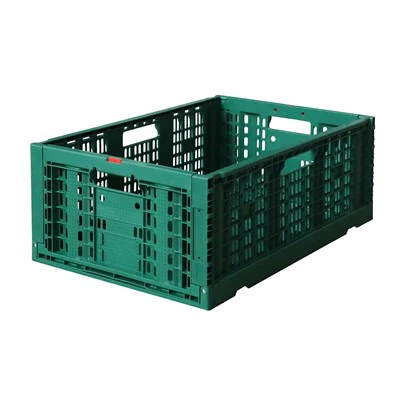 Fabricante al por mayor de cajas de plástico para frutas y verduras